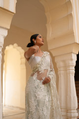 Grey Embroidered SareeDSC07620