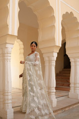 Grey Embroidered SareeDSC07638