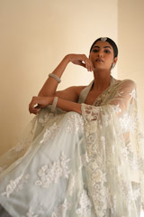 Grey Embroidered SareeDSC07642