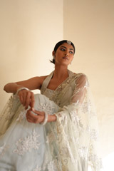 Grey Embroidered SareeDSC07653