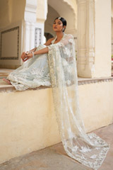 Grey Embroidered SareeDSC07657