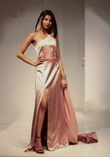 Light Metallic Pink GownIMG_8842