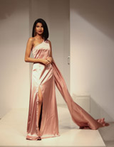 Light Metallic Pink GownIMG_8847