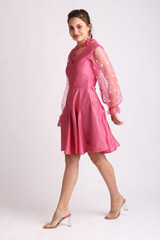 Primvera Pink DressIMG_2579