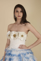 Blue Ruffle Dress_DTR0016