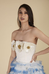 Blue Ruffle Dress_DTR0026