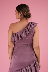 Senorita Mauve GownDSC02645