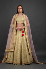 Yellow Zari Lehenga Set_DSC7736-Edit