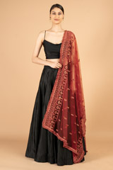 Red Net DupattaDSC07221
