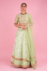 Green Embellished LehengaDSC00042