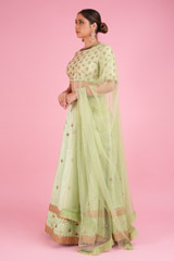 Green Embellished LehengaDSC00043