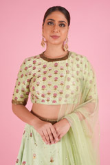 Green Embellished LehengaDSC00046