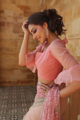 Pink and Gold Embroidered Saree2