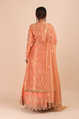 Orange Chanderi Anarkali SetIMG_6929