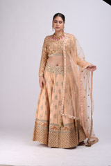 Beige Embellished Lehenga5150_video