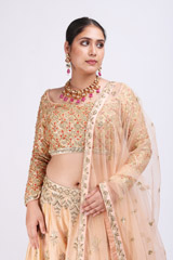 Beige Embellished LehengaIMG_9917
