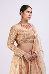 Beige Embellished LehengaIMG_9921