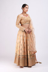 Beige Embellished LehengaIMG_9922