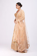 Beige Embellished LehengaIMG_9923