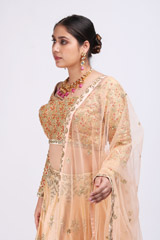 Beige Embellished LehengaIMG_9924