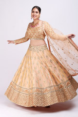 Beige Embellished LehengaIMG_9925