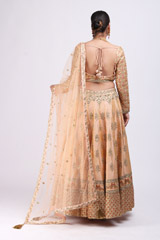 Beige Embellished LehengaIMG_9926