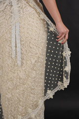 Ivory Embroidered SareeDSC06054