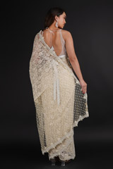 Ivory Embroidered SareeDSC06056
