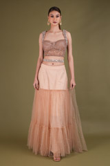 Salmon Pearl Net Embellished top and bottom setDSC03544