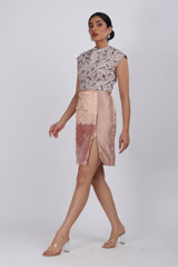 Pink Embellished Top With SkirtIMG_2644