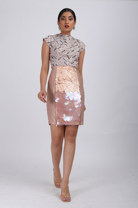 Pink Embellished Top With Skirt