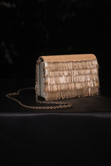 Gold Fringe Clutch