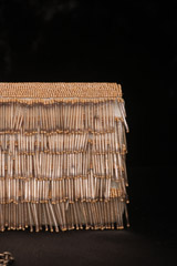 Gold Fringe ClutchIMG_2830