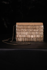 Gold Fringe ClutchIMG_2832
