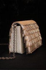 Gold Fringe ClutchIMG_2836