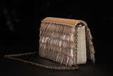 Gold Fringe ClutchIMG_2837