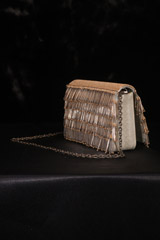 Gold Fringe ClutchIMG_2838