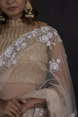 Peach Embroidered Saree_DTR0362