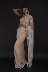 Peach Embroidered Saree_DTR0368