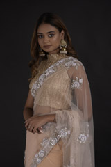 Peach Embroidered Saree_DTR0369