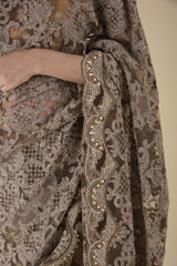 Brown Scallop Border Saree_DTR2228