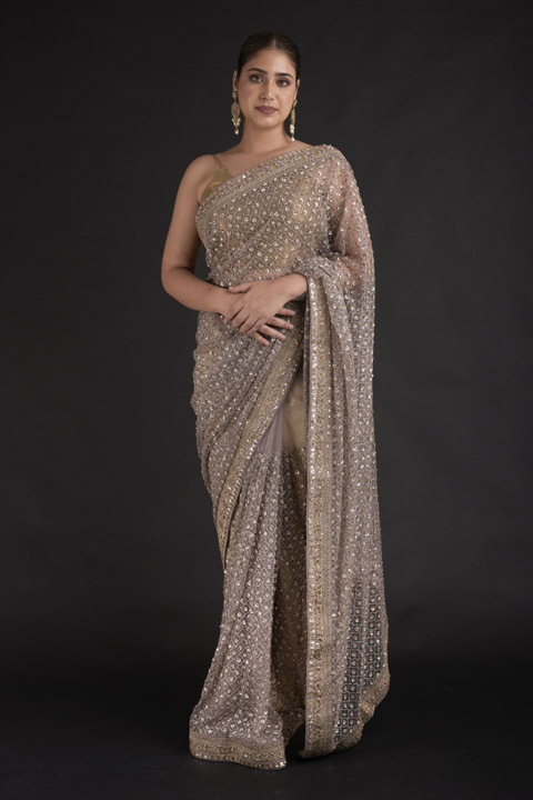 Brown Sequins Embroidered Saree