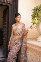 Brown Embroidered SareeDSC08081