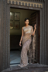 Brown Embroidered SareeDSC08085