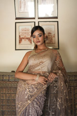 Brown Embroidered SareeDSC08097