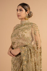 Golden Brown Sequin SareeDSC00946