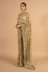 Golden Brown Sequin SareeDSC00947