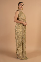 Golden Brown Sequin SareeDSC00948