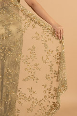 Golden Brown Sequin SareeDSC00951