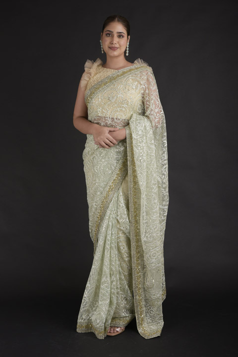 Mint Embroidered Saree